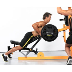 wb-ms Powertec multi system back exercise