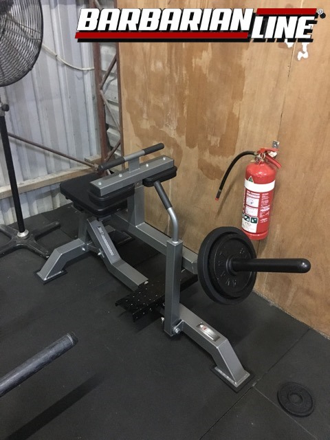 barbarian seated calf raise