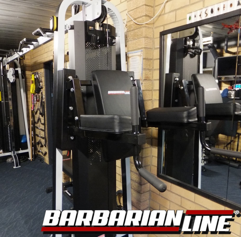 barbarian vertical knee raise