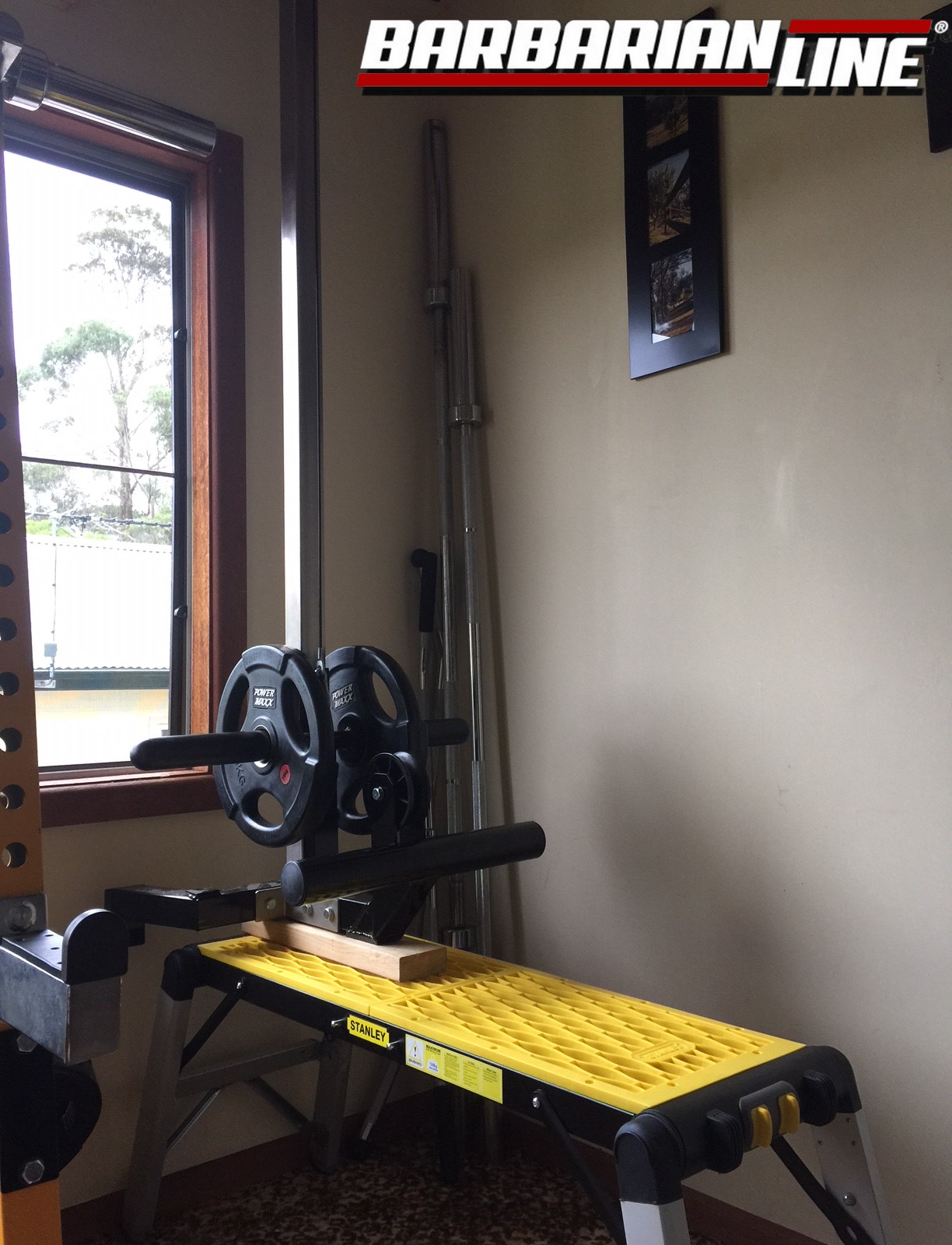 barbarian wall mounted lat pulldown