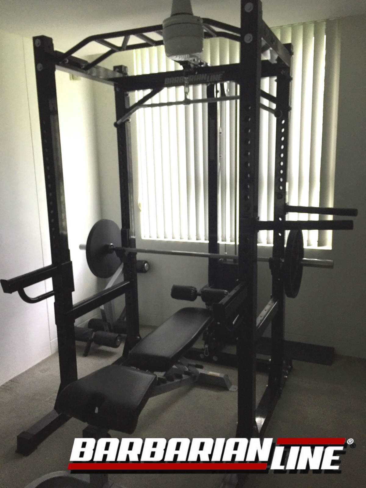 barbarian power cage system