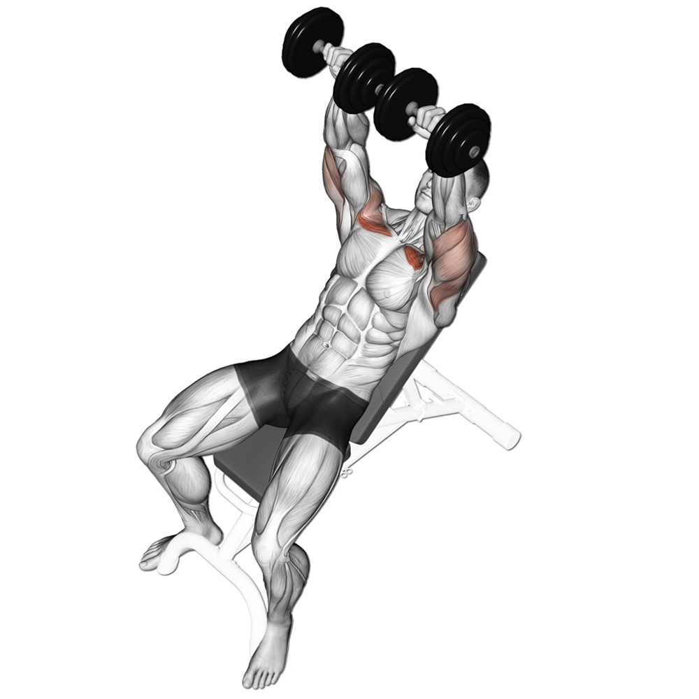 incline dumbbell bench press
