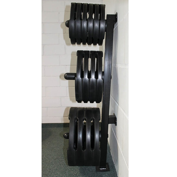 The Wall Mounted Weight Rack, with its three horizontal bars featuring sleek black weight plates, stands against a white brick wall on a green carpet. It provides an efficient and organized storage solution.