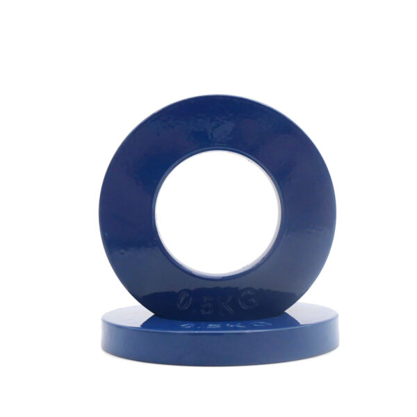 Two blue plates from the Power Maxx Olympic 5kg Fractional Plate Set, each marked 0.5 KG, are upright and stacked on a flat surface, with the front plate partially obscuring the one behind.