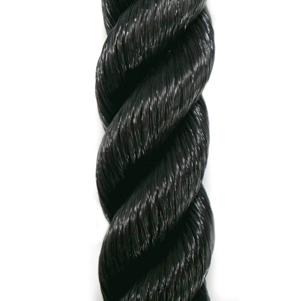 Single Tricep Rope - Image 3