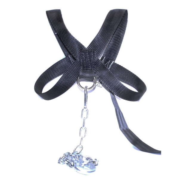 The Spud Inc. Front Squat Harness includes adjustable black nylon straps with a central metal loop, attached to a silver chain leash featuring a clasp.