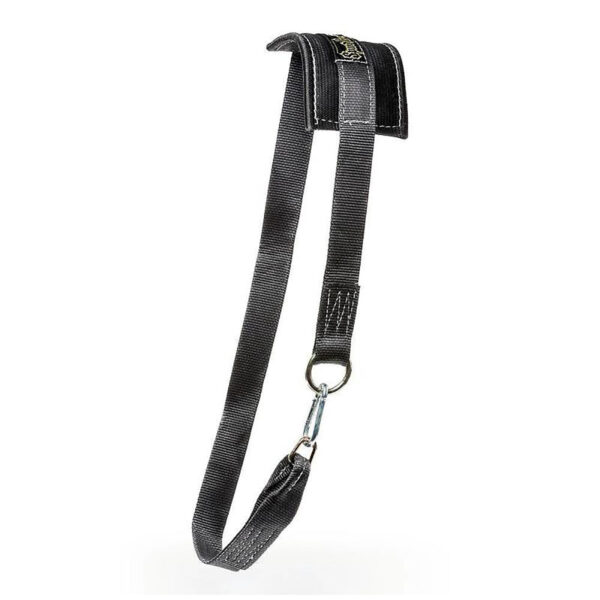 A sleek black dog leash with a loop handle and sturdy metal clip, reminiscent of the Spud Chainless Dip Belts durability, stands upright against a crisp white background.