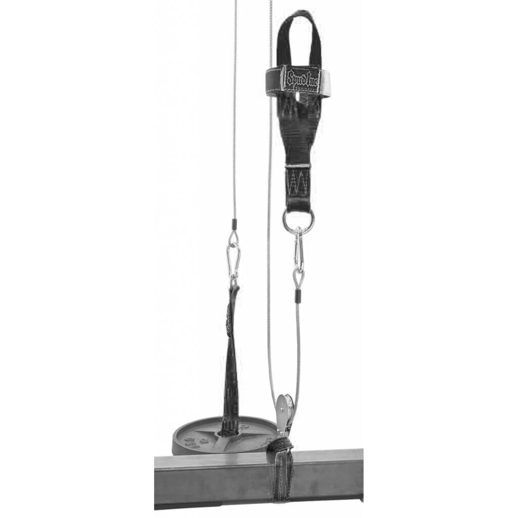 Spud Low Row Pulley attached to gym.