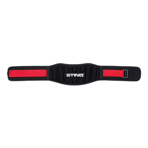 Sting Neo 6" Nylon Belt