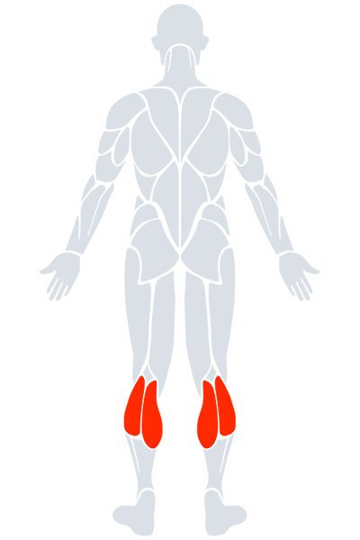 Calves