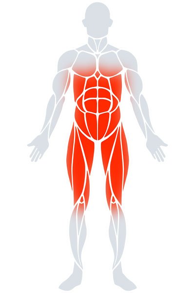 Core
