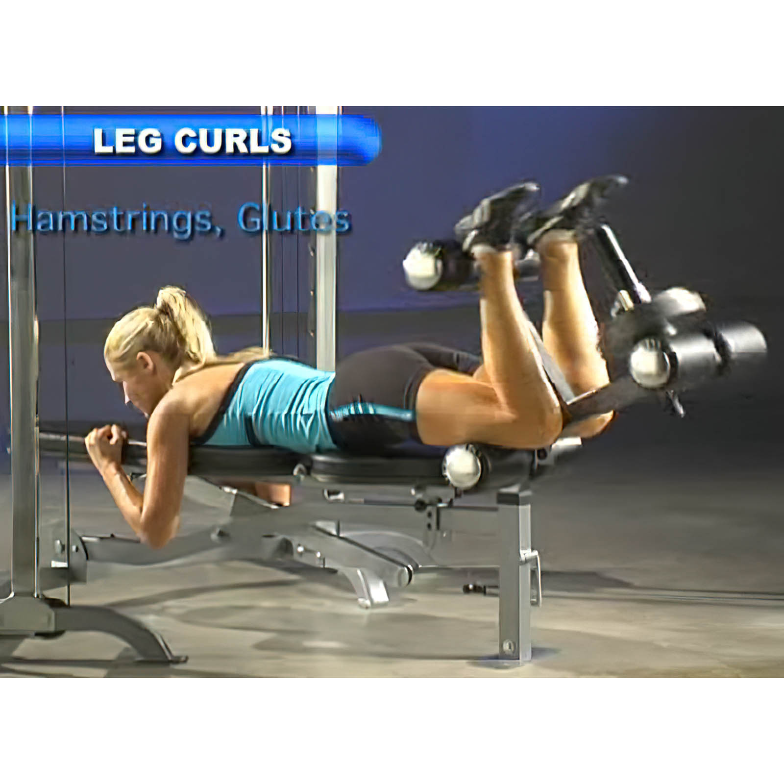 Powertec Lying Leg Curls