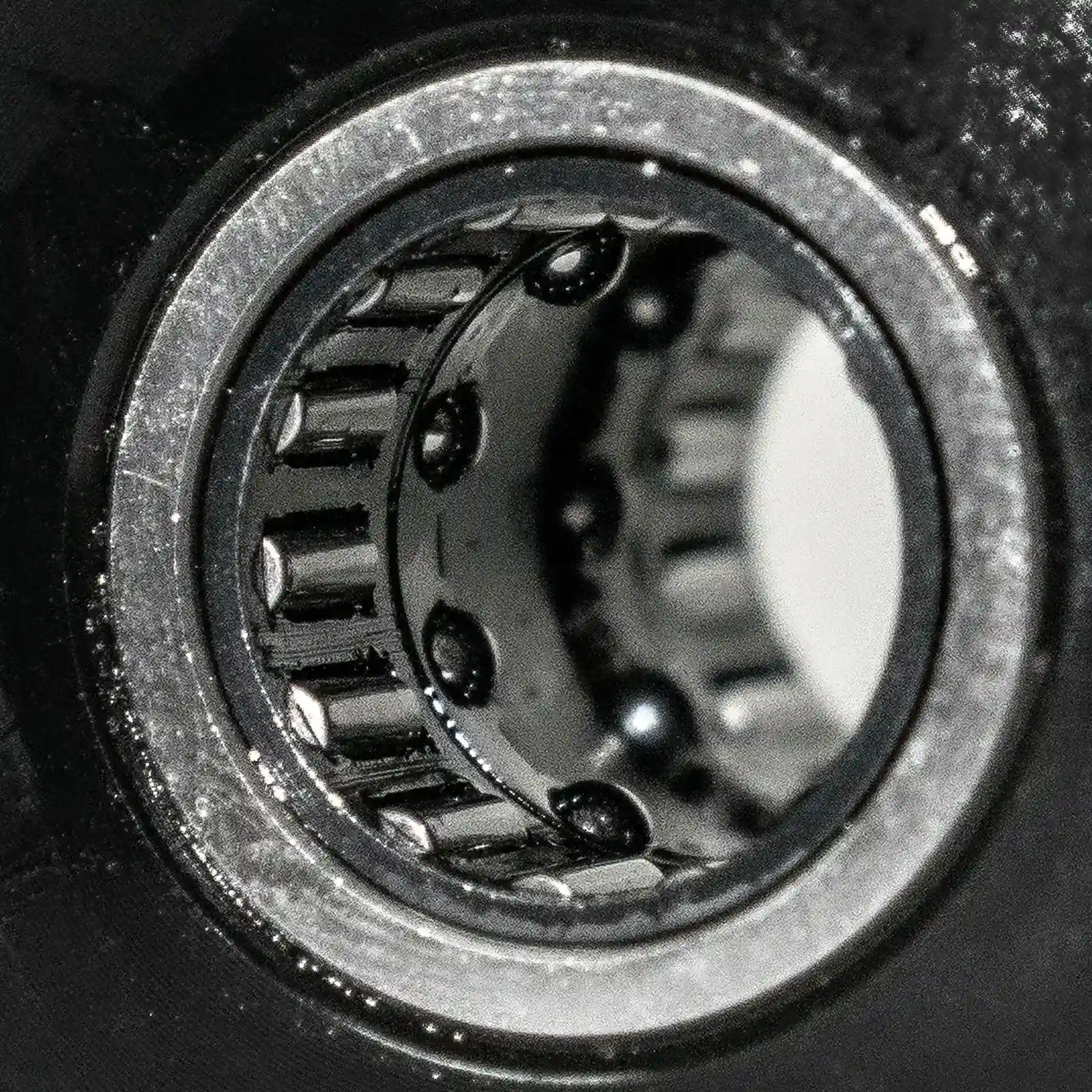 Close-up of a metal bearing with cylindrical rollers arranged around the inner ring, reminiscent of the smooth, precise motion found in an ATX Compact Leg Press. The shiny surface reflects light, and the bearing is set within a dark circular frame.