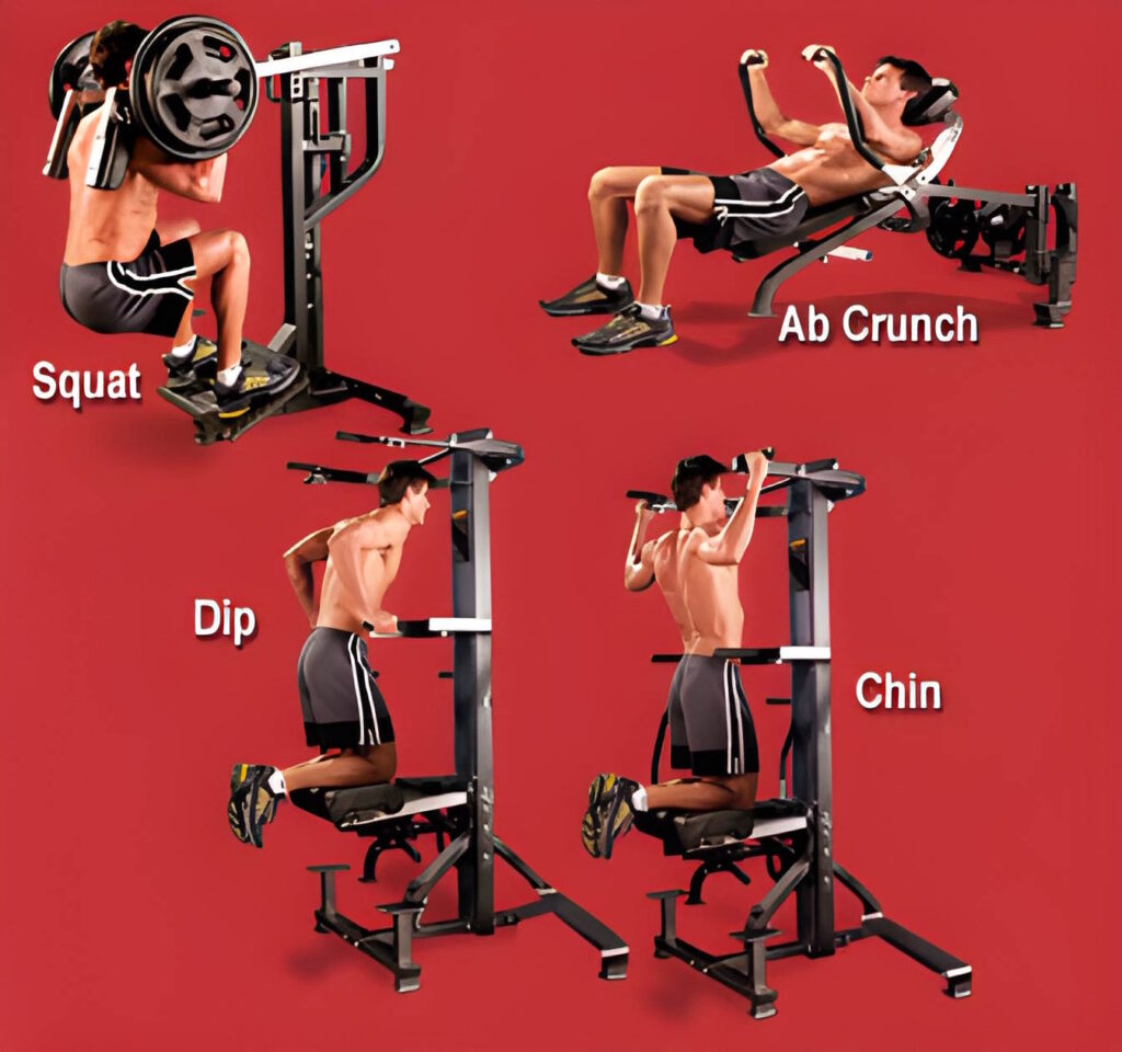 L-QF Powertec Leverage Quikfit System Exercises