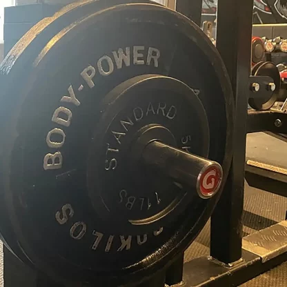 weight hanging off a gympin