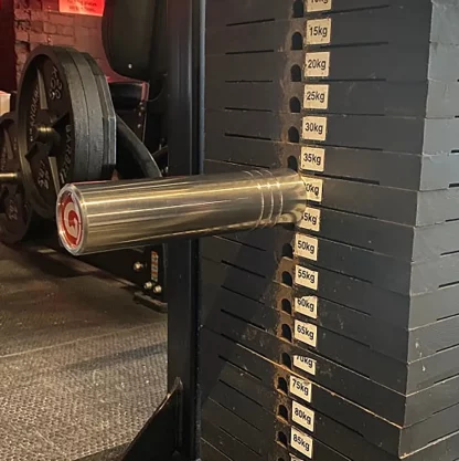 kingpin being used on a weight stack