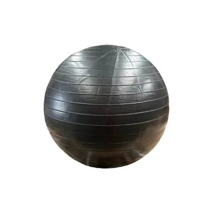 65cm Swiss ball in a gym, an anti-slip stability ball with a 65cm diameter, ideal for Pilates, stretching, and full-body fitness training